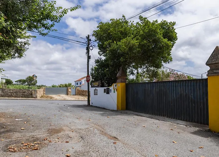 Vinha Da Quinta
